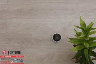 Sàn gỗ Fortune Aqua 801- 8mm