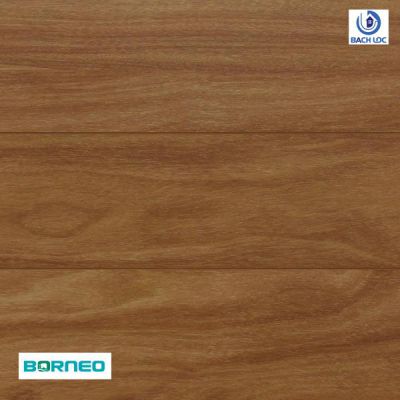 Sàn gỗ Borneo BN19 -12mm