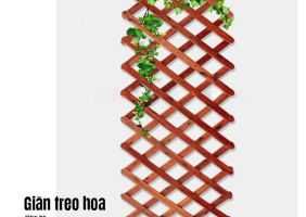 Giào treo hoa 3K