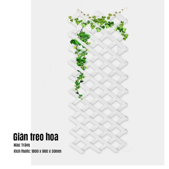 Giào treo hoa 3K
